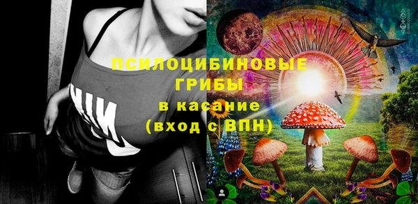 ECSTASY Медногорск