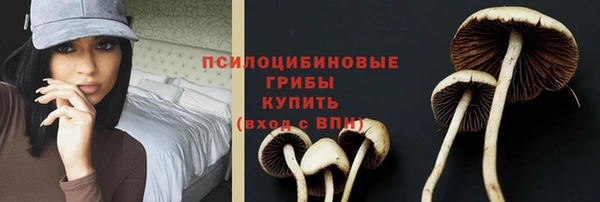 ECSTASY Медногорск