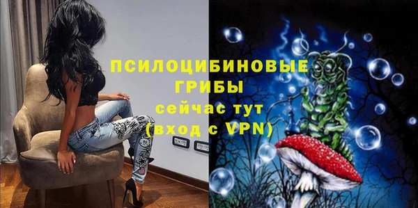 ECSTASY Медногорск