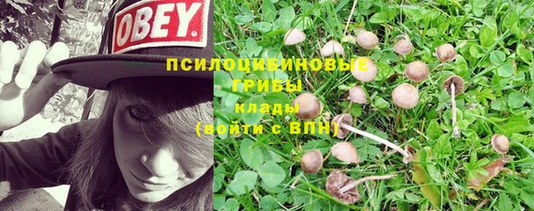 ECSTASY Медногорск