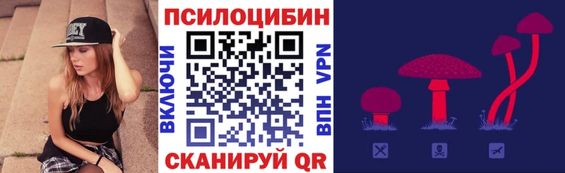 Псилоцибиновые грибы прущие грибы  Купить закладки  Бердск 